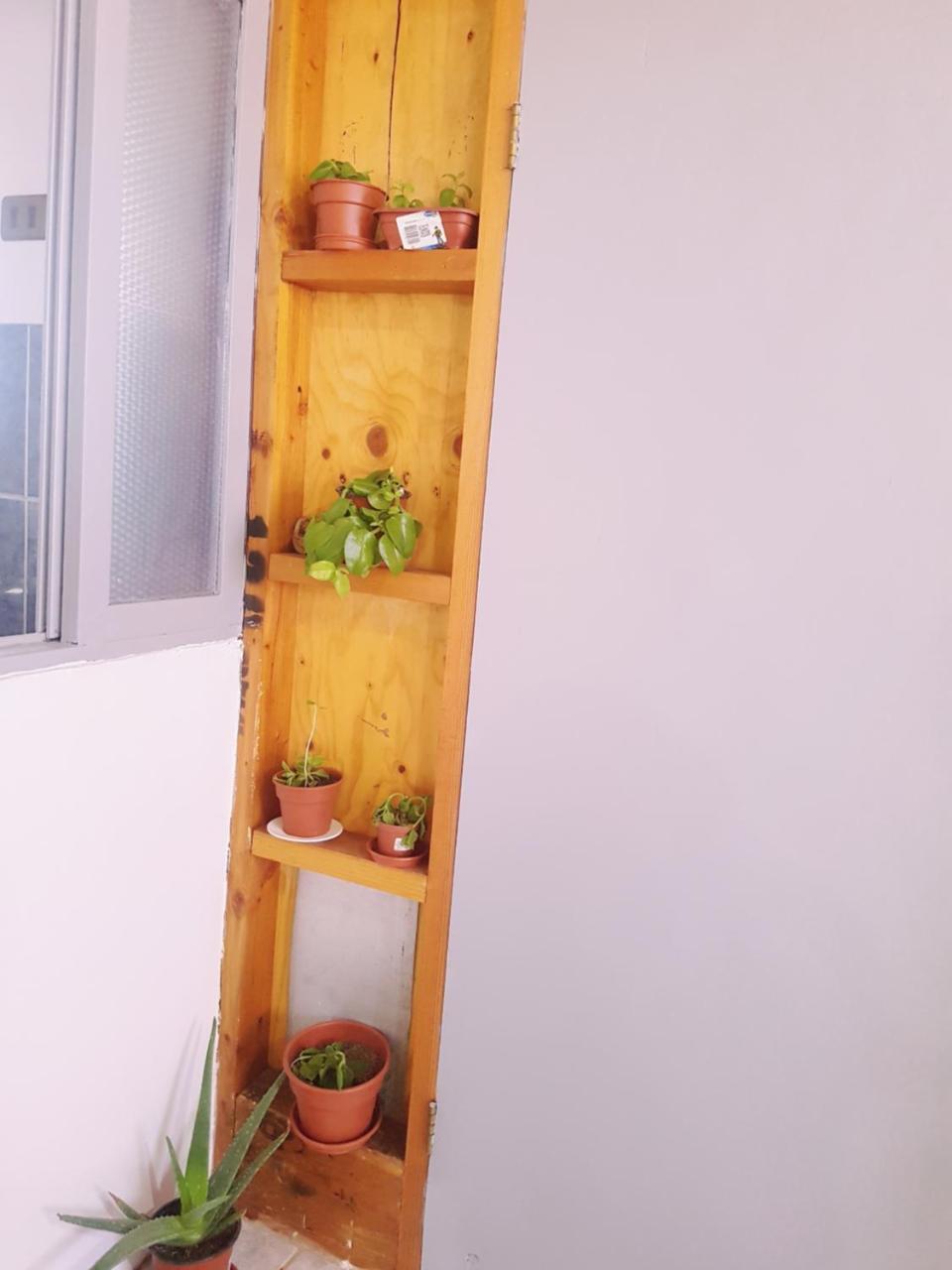 Departamento Luna Andina 산 페드로 데 아타카마 외부 사진